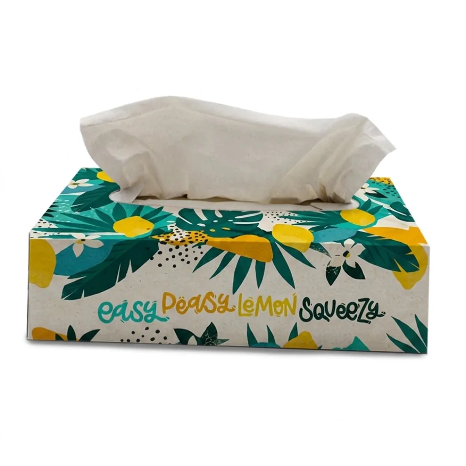 oecolife-hygienepapiere-taschent-cher-lemons-1-box-4-lagig image 1