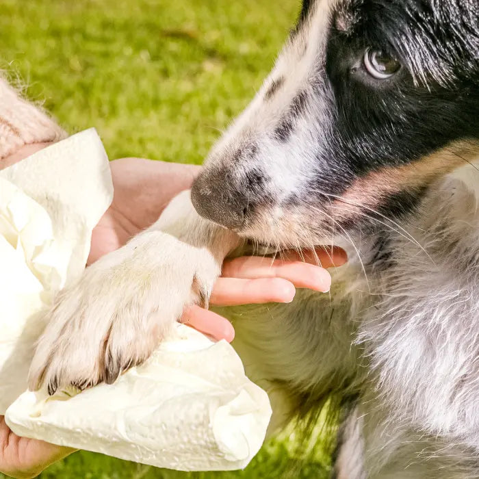 oecolife-naturell-hundehandt-cher-1-rolle-3-lagig-plastikfrei image 4