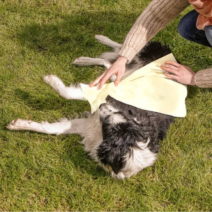 oecolife-naturell-hundehandt-cher-1-rolle-3-lagig-plastikfrei image 7