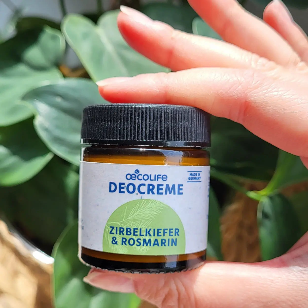 oecolife-k-rperpflege-deocreme-zirbelkiefer-rosmarin-30g-glas image 4